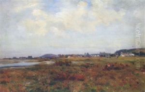 A Picnic In The Dunes