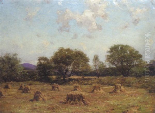 Corn Stooks - view 1