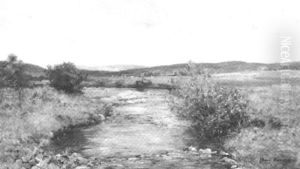 A Summer Stream A Summer Stream