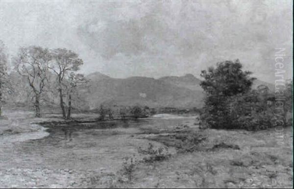 A Salmon Pool - view 1