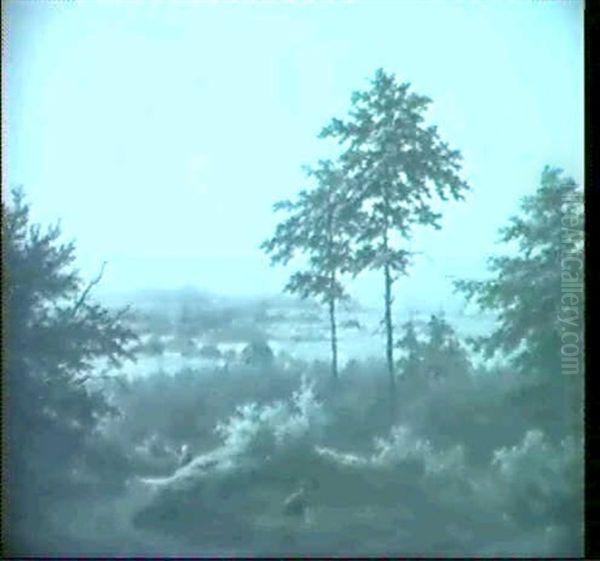 Blick In Die Flussebene - view 1
