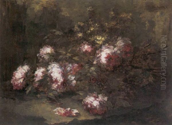 Fleurs - view 1