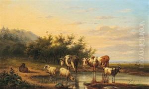 Weite Landschaft Mit Einer Tierherde Im Vordergrund
