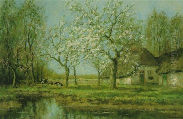 Cattle Resting Before A Cottage In Spring - view 1