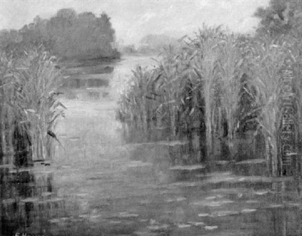 By The Still Water - view 1