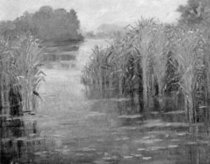 By The Still Water By The Still Water