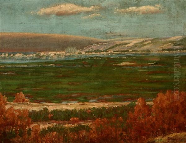 Historic View Of Mission Valley, San Diego - view 1