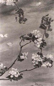 Apple Blossom