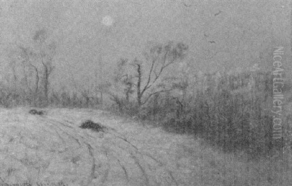 Winter Nocturne - view 1