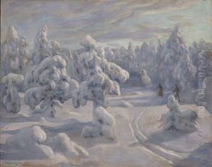 I Nordmarka Etter Snefall