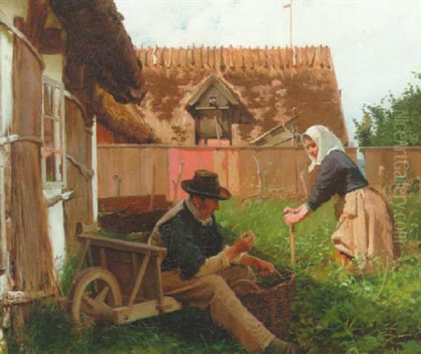 Kartoffeloptagning - view 1