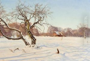 Winterlandschaft Im Tierpark Dyrehaven