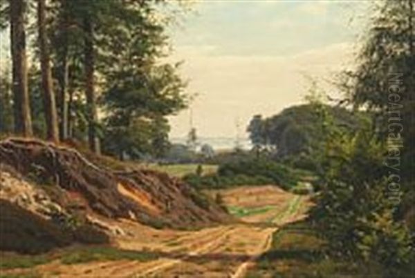 A Forest Scene With Road - view 1
