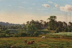 Grazing Cows Near Lake Gurre, Denmark