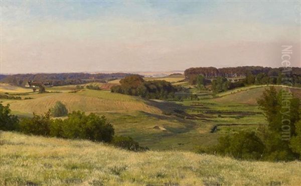 Weite Sommerliche Felderlandschaft - view 1