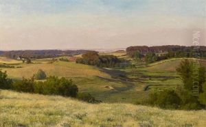 Weite Sommerliche Felderlandschaft by Carsten Henrichsen