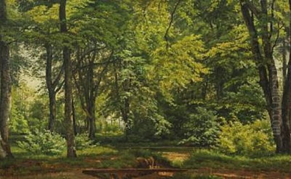 Forest Scenery With A Stream - view 1