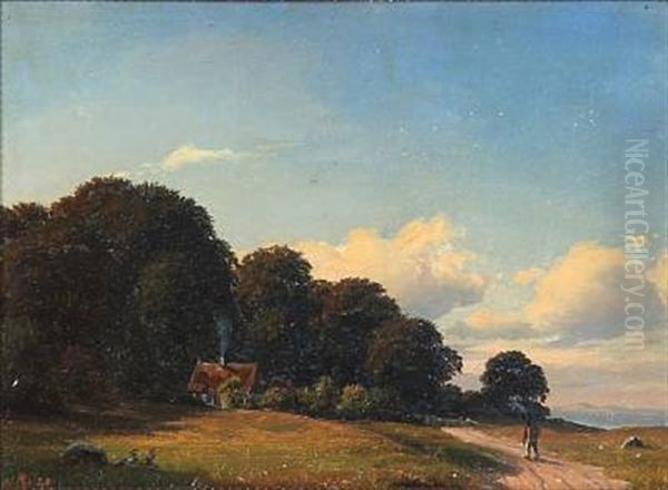 Danish Summer Landscape Near Oresund - view 1