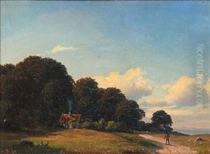 Danish Summer Landscape Near Oresund