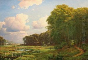 Wiesen Und Waldlanschaft Mt Huter, Vieh Und Ferner Kuste