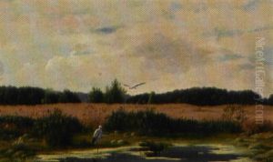 Sommerlandskab Med Storke Ved Et Vandhul