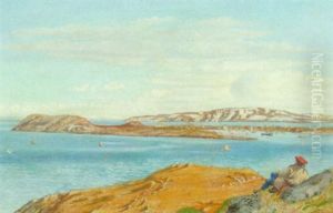 Norsk Landskab Med Ung Mand, Der Nyder Udsigten Over Vandal
