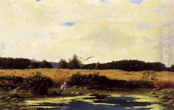 Sommerstemning Med Storke Ved Et Vandhul - view 1