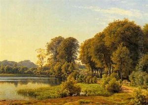 Sommerlandskab Med Skovso