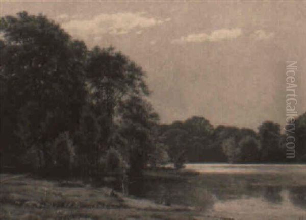Lystfiskere Ved En Solbelyst Skovs+ - view 1