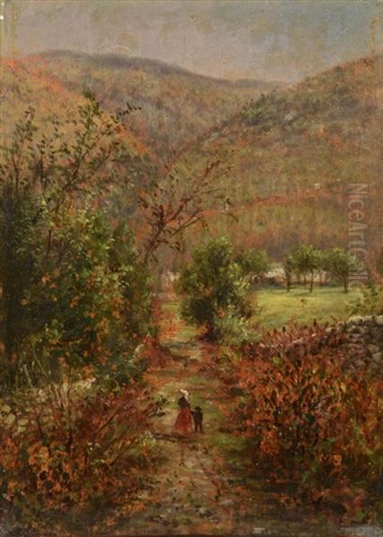 The Road To Conway In The White Mountains - view 1