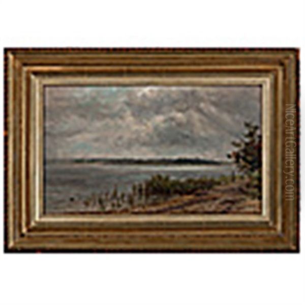 Landscape - view 1