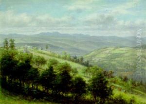 Landscape Landscape