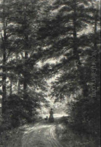 A Stroll Through The Woods - view 1