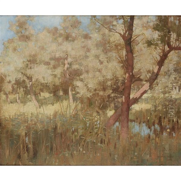 Marshes, Galloway - view 1