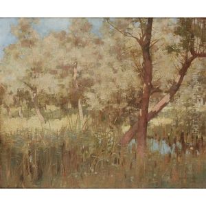 Marshes, Galloway
