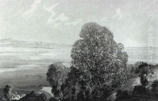 Firth Of Tay - view 1