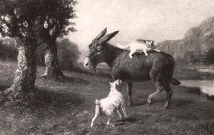 Donkey Terrier And Cat by George Henry