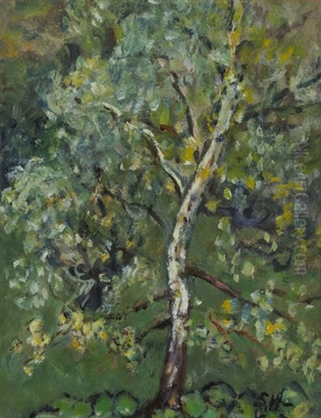 My Tree (galway) - view 1