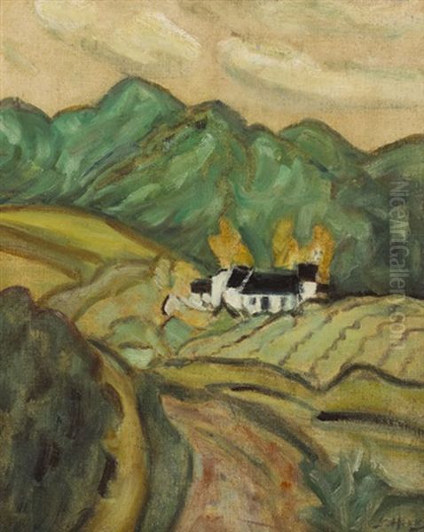 Mountain, Caragh Lake, County Kerry - view 1
