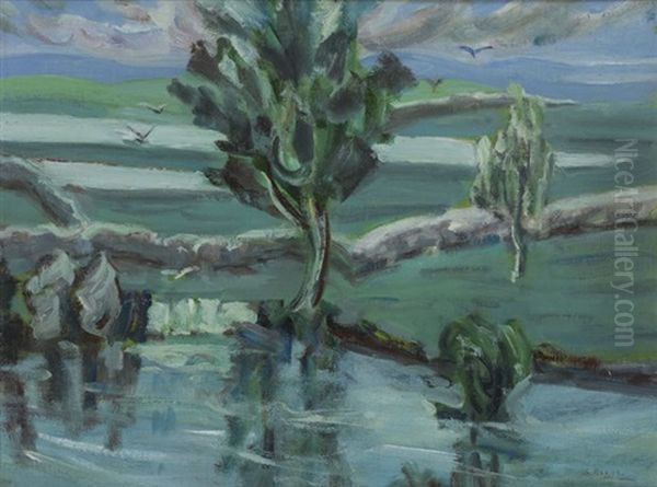 Floods, Ennis, County Clare - view 1