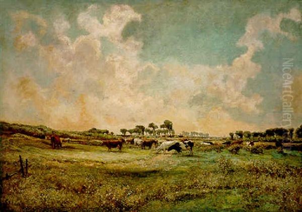 Cows At Pasture - view 1