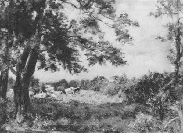 Lush Meadows - view 1