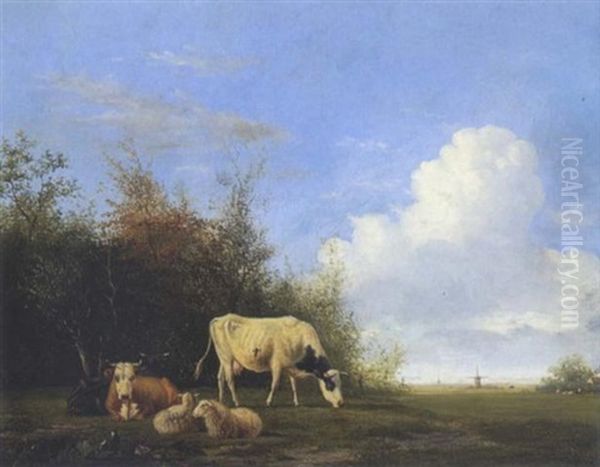 Kuhe Und Schafe Auf Der Weide - view 1