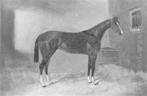 Horse In A Stable by George Hepper