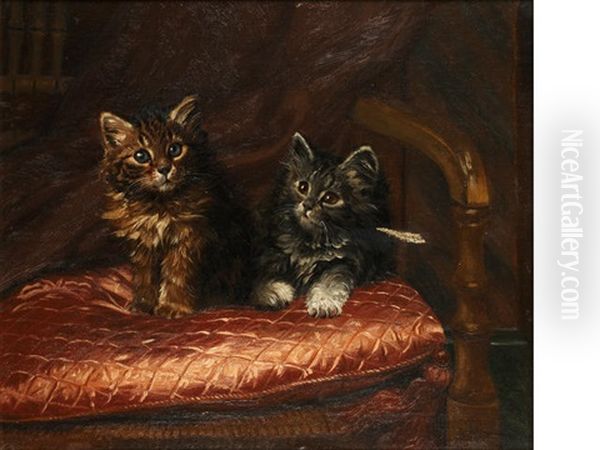 Kittens - view 1