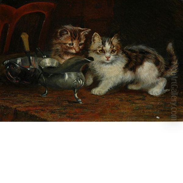 Kittens On The Table - view 1