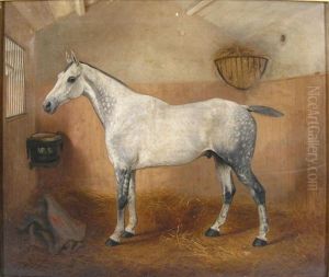 Portrait Of A White Horse In A Stable