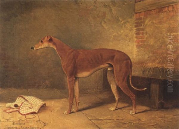 "dodger" - view 1