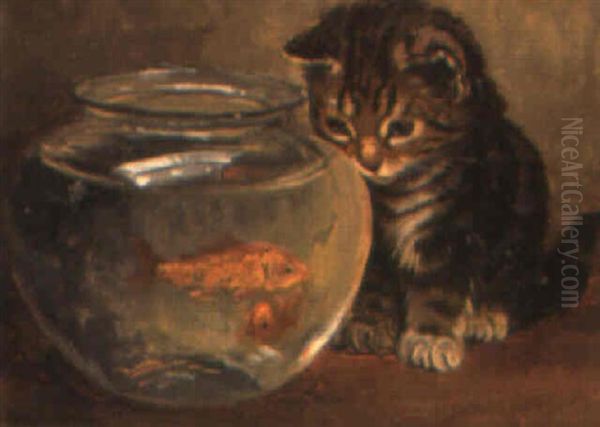 The Goldfish Bowl - view 1