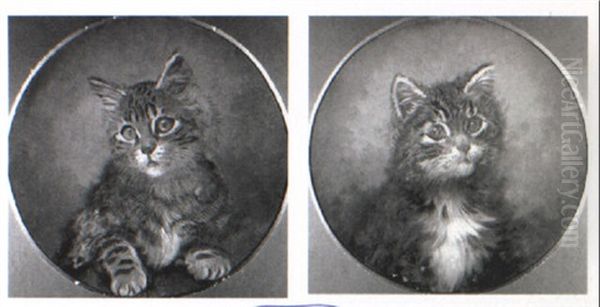 Portraits Of Tabby Kittens - view 1